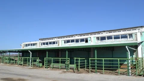 Malatya Büyükşehir Belediyesi'nden Canlı Hayvan Pazarına Yatırım