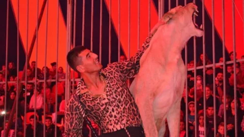 Ceyhan'da Arena Sirki'ne Yoğun İlgi