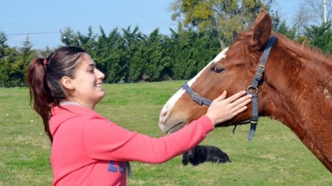 Yarış Atlarını Çalan Hurdacılar Serbest Kaldı