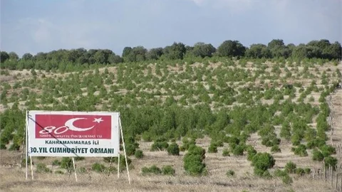 2014 Yılında Hatıra Ormanı Geleneğinde Bir Rekora İmza Atıldı