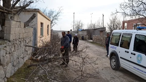 Belediye Ekipleri Van Gölü Sahilini Temizledi