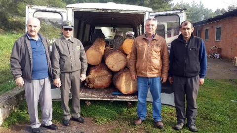 Marmaris'te Tomruk Kaçakçılığı