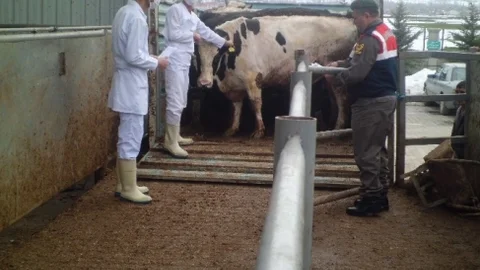 Jandarma'dan Mezbaha Denetimi