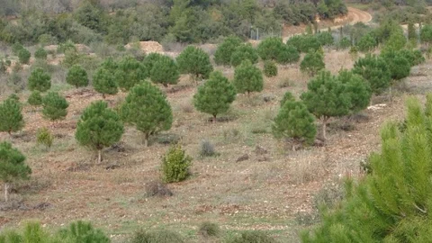 Tunç'tan 400 Kişilik İstihdam Müjdesi