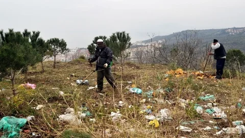 Agah Bursalı Ormanı'na Düzenleme