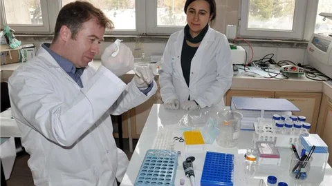 Üniversitelerde proje yazma seferberliği