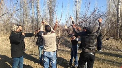 Iğdır'da “Ağaç Budama Eğitimi” Verildi