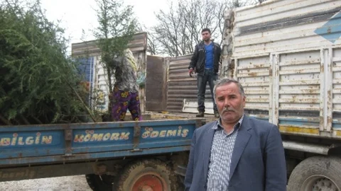 Ödemiş Türkiye'deki Fidan Üretiminin Yarısını Karşılıyor