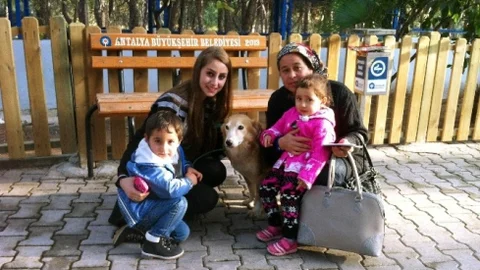 Sosyal Medya Üzerinde Sahipsiz Hayvanlara Yuva Aranıyor