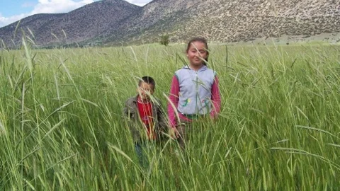 Yağışlar Aydınlı Üreticinin Yüzünü Güldürdü