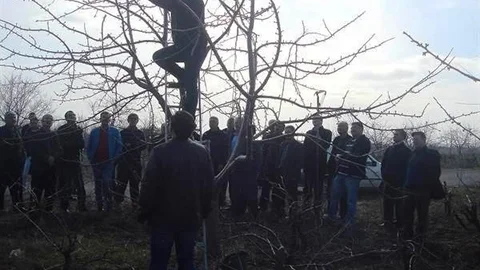 Tekirdağ'da Meyvecilik Eğitimi Düzenledi