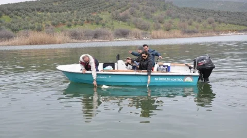 Marmara Gölü Ekosisteme Kazandırılacak