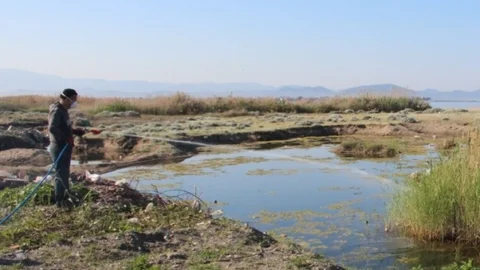 Sineksiz Bir Edremit İçin Mücadele Başladı