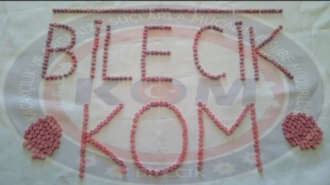 Bilecik KOM Şube 497 Adet Uyuşturucu Hap Ele Geçirdi