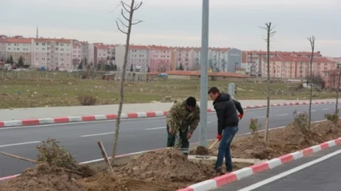 Kırklareli'de TOKİ Yolu Ihlamur Kokacak