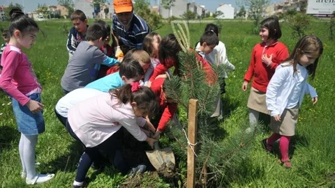 Nilüfer'den Yeşil Seferberlik