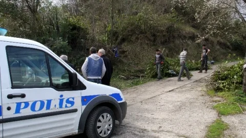 Defne Ağacı Kesenleri Arıcılar Yakalattı