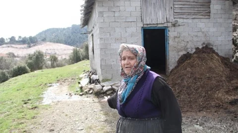 Hatice Nine Çalınan Hayvanlarına Ağladı