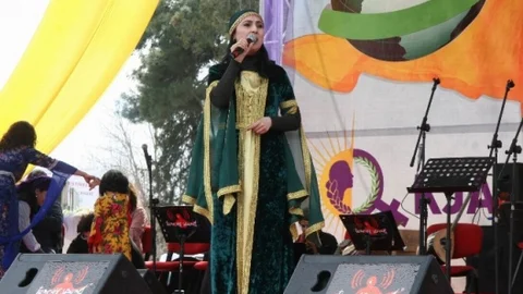 Diyarbakır'da 8 Mart Dünya Kadınlar Günü Mitingi Yapıldı