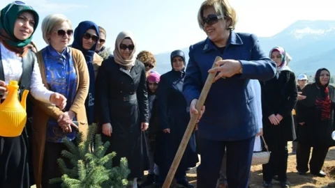 Malatya'da 550 Fidan Dikimi Yapıldı