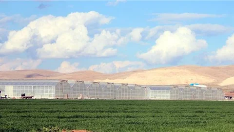 Güneydoğu'da jeotermal seracılık yaygınlaşıyor