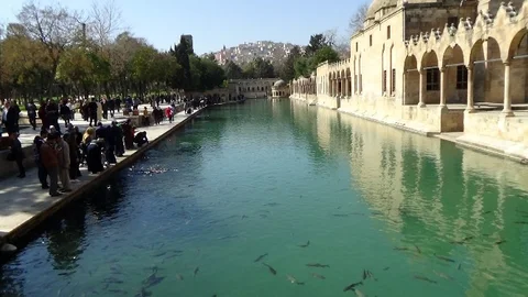 Şanlıurfa'ya Bahar Erken Geldi