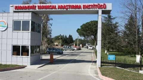 Ktae'de Ülkenin Tarım Politikasına Yön Veren Çalışmalar