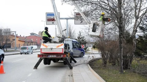 Ankara Büyükşehir'den Caddelerde Ağaç Budama Çalışması