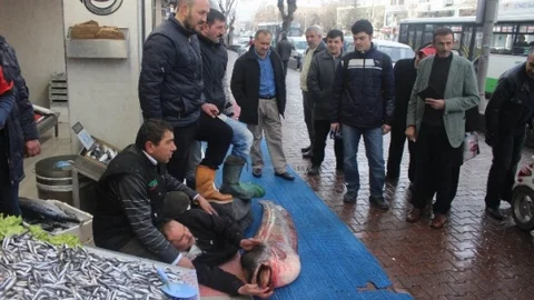 (Özel Haber) Balıkçı Yattı Vatandaş Baktı