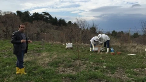 Burhaniye'de Arıcılara Tarımcı Desteği