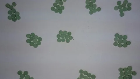 Mersin'de Uyuşturucu Operasyonu