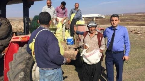 Kilis'te Meralara İlkbahar Gübresi Atıldı