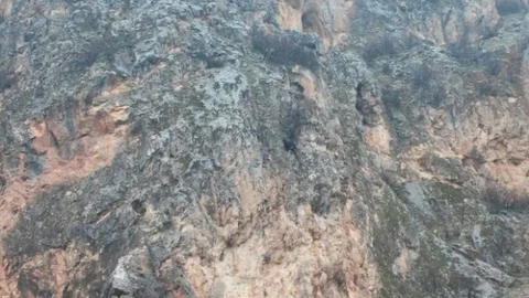 Dağda Mahsur Kalan Keçi Bir Haftadır Kurtarılmayı Bekliyor