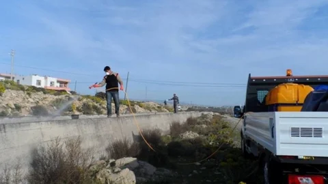 Mut'ta Sinekle Mücadele Çalışmaları Başladı