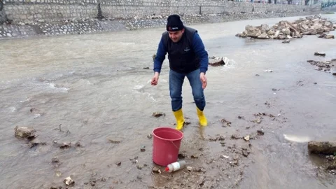 Asar Deresindeki Ölü Balıklar Vatandaşları Tedirgin Etti