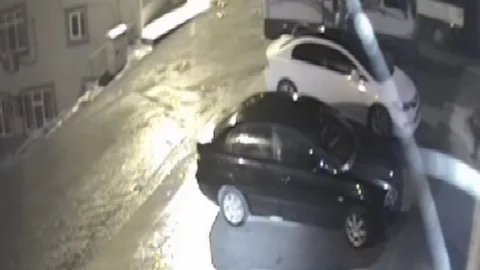 Minibüs Fareleri Kameraya Takıldı