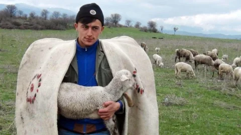 Diplomalı Çobanlar İş Başında