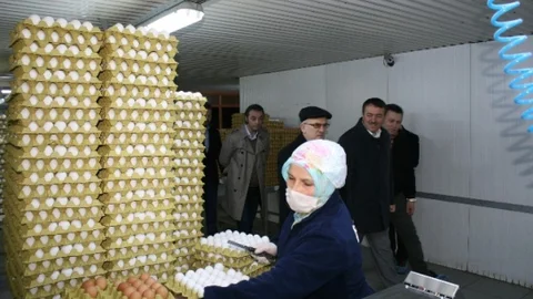 MÜSİAD Yönetimi Kılıçlar Yumurta Tesislerini Gezdi