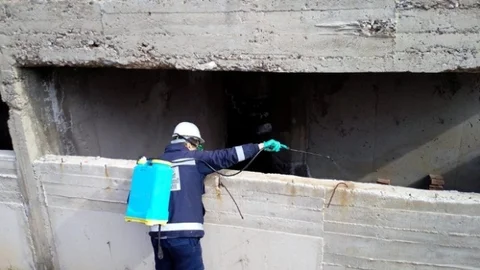 Haşereyle Mücadele