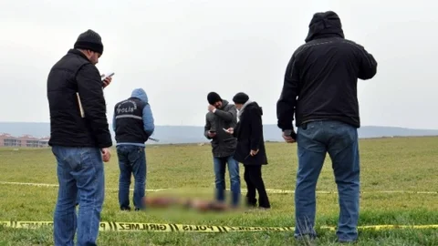 Sevdiği Köpekler Genç Kadının Sonu Oldu