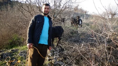 AFAD'dan Keçi Kurtarma Operasyonu