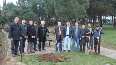 Şeyh Yunus Emre'nin Etrafı Ihlamurla Sarıldı