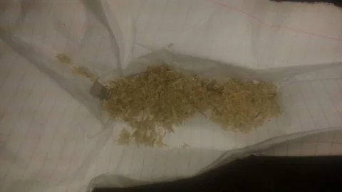 Ankara'da Bonzai Operasyonu