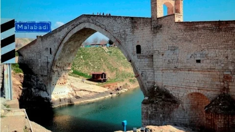 Batman Çayı'na Bırakılan Su Samuru Ölü Bulundu