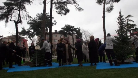 Cumhurbaşkanı Erdoğan Fidan Dikti