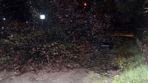 Sakarya'da Yoldan Çıkan Otomobil Takla Attı 5 Yaralı