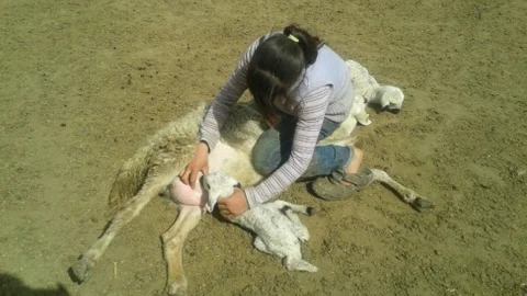 Sultan Sazlığında Bahar Heyecanı