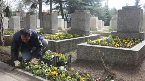 Büyükşehir Belediyesi Şehitlikleri Çiçeklerle Donatıyor