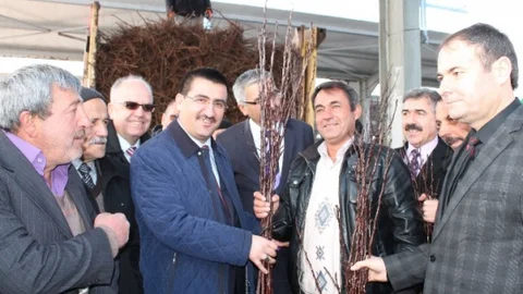 Vali Kılıç Üreticilere Elma Fidanı Dağıttı