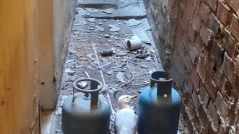 (Özel Haber) Bu Da Martı Kurtarma Operasyonu